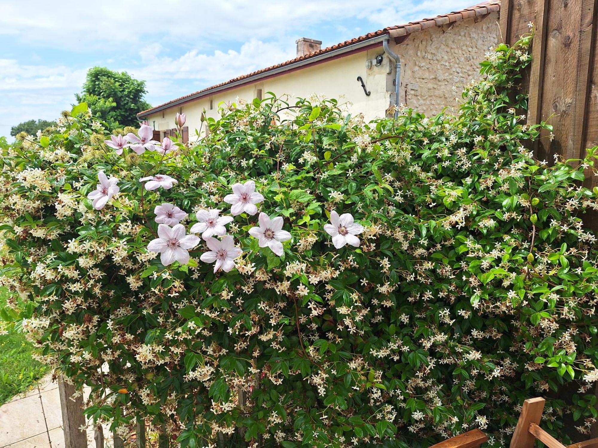 Gite Cosy Grand Confort Dans Un Ecrin De Verdure Agudelle Exteriér fotografie
